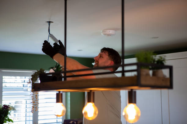 Best Home Electrical Repair  in Schaumburg, IL
