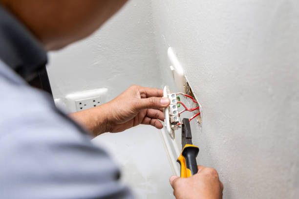 Best Ceiling Fan Installation Electrician  in Schaumburg, IL